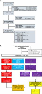 Establishing a genomic radiation-age association for space exploration supplements lung disease differentiation